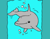 Dibuix Dofí pintat per ramon  escola  alexandre