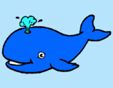 Dibuix Balena expulsant aigua pintat per mar