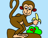 Dibuix Mono pintat per LLORENÇ