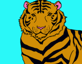 Dibuix Tigre pintat per paola