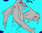 Dibuix Dofins jugant pintat per dufins