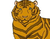 Dibuix Tigre pintat per nicole