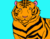 Dibuix Tigre pintat per NI