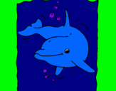 Dibuix Dofí pintat per baldufa14