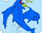 Dibuix Dofins jugant pintat per NOA