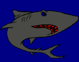 Dibuix Tiburón pintat per josafat