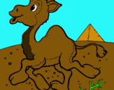 Dibuix Camell pintat per Anna