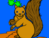 Dibuix Esquirol pintat per joan