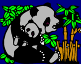 Dibuix Mare Panda pintat per os panda