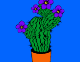 Dibuix Flors de cactus pintat per joan
