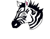 Dibuix Zebra II pintat per bernat pont