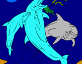 Dibuix Dofins jugant pintat per joan
