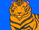 Dibuix Tigre pintat per joan
