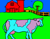 Dibuix Vaca pasturant pintat per GIL I ORIOL