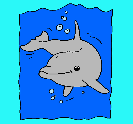 Dibuix Dofí pintat per Eloy López Pol