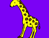 Dibuix Girafa pintat per júlia duarte pascual