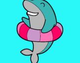 Dibuix Dofí amb flotador pintat per carla