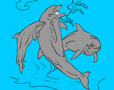 Dibuix Dofins jugant pintat per eudald