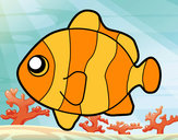 201214/peix-pallasso-animals-el-mar-pintat-per-elscosins-531714_163.jpg