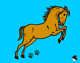 Dibuix Cavall saltant  pintat per Auyn