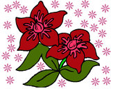Dibuix Flors 3 pintat per Annytah