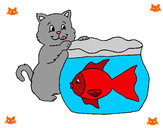 Dibuix Gat i peix  pintat per marta