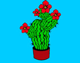 Dibuix Flors de cactus pintat per joangv