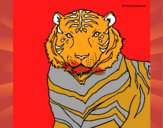 Dibuix Tigre pintat per Jannah