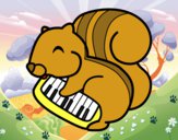 Esquirol pianista