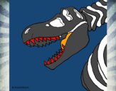 Esquelet tiranosauri rex