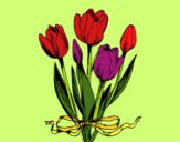 Tulipes amb llaç