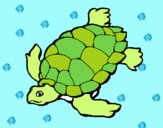 201625/tortuga-animals-el-mar-pintat-per-joanaarnau-544186_163.jpg