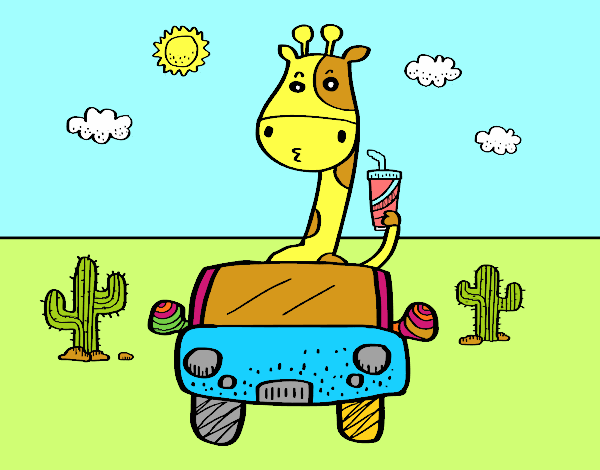 Girafa conduint