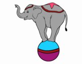 Elefant equilibrista