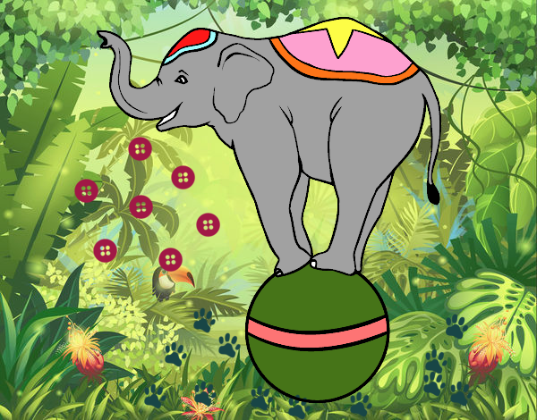 Elefant de circ