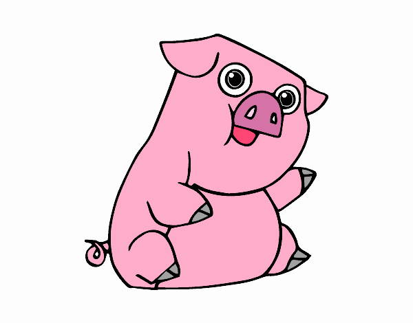 Un porc