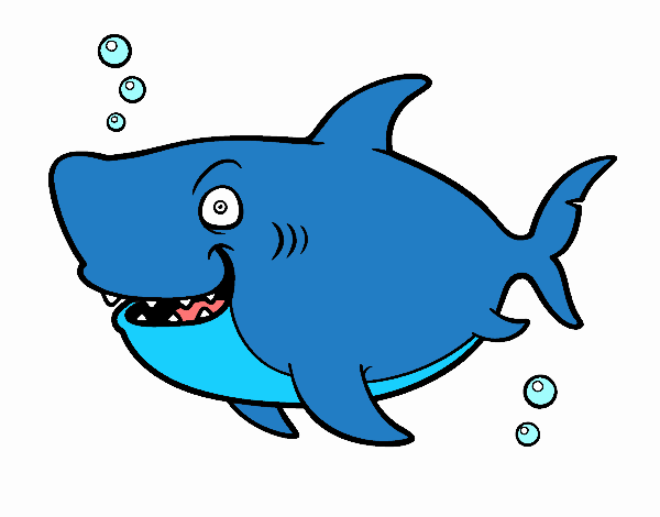 Tauró balena