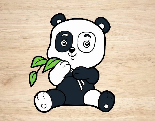 Un ós panda