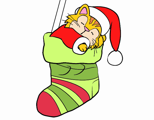 Gatet dormint en un mitjó de Nadal