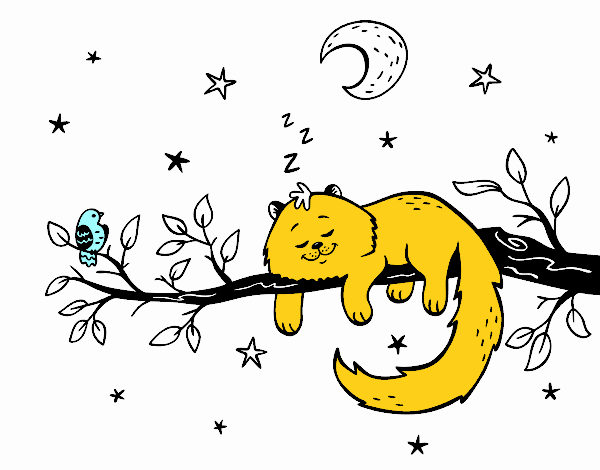 El gat i la lluna