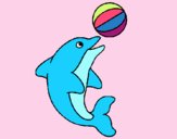 Dofí jugant amb una pilota