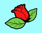 Rosa amb fulles