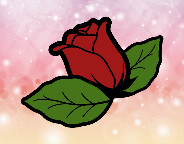 Rosa amb fulles