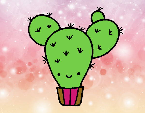 cactus felic