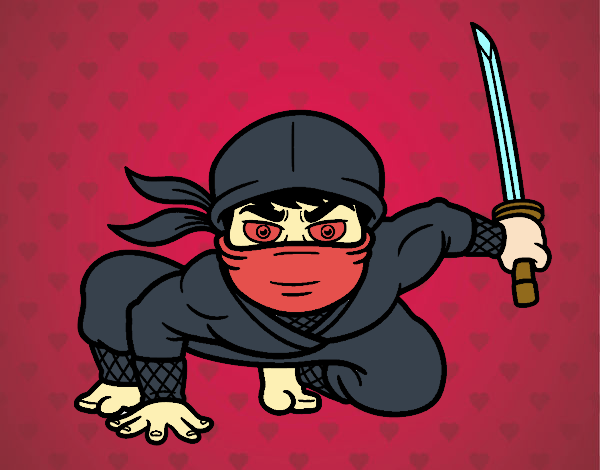 Ninja japonès