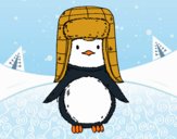 Un pingüí amb gorra