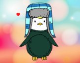 Un pingüí amb gorra