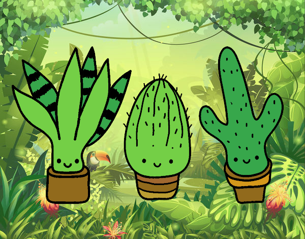 els cactus mes divertits del mon