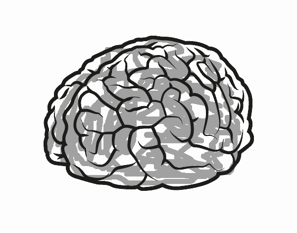 Cervell