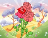 Un ram de roses